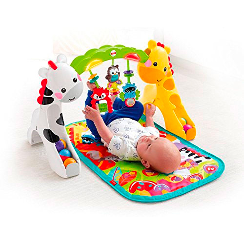 Fisher price newborn to toddler play gym deals